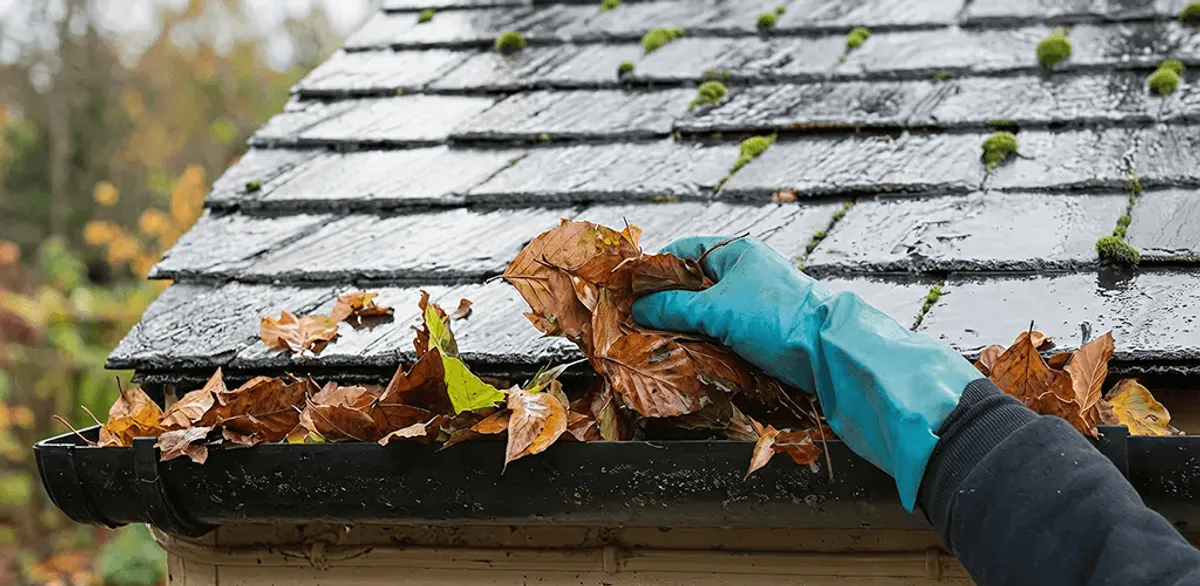 Gutter cleaning technician clearing wet leaves from roof gutters in Lakewood, CO